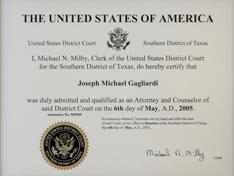 United States District Court - Federal Lawyer 2